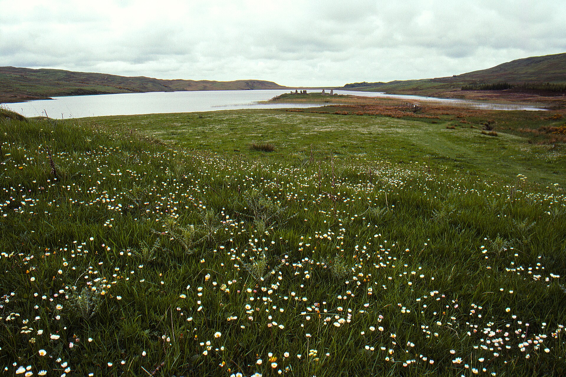 Finlaggan, Islay