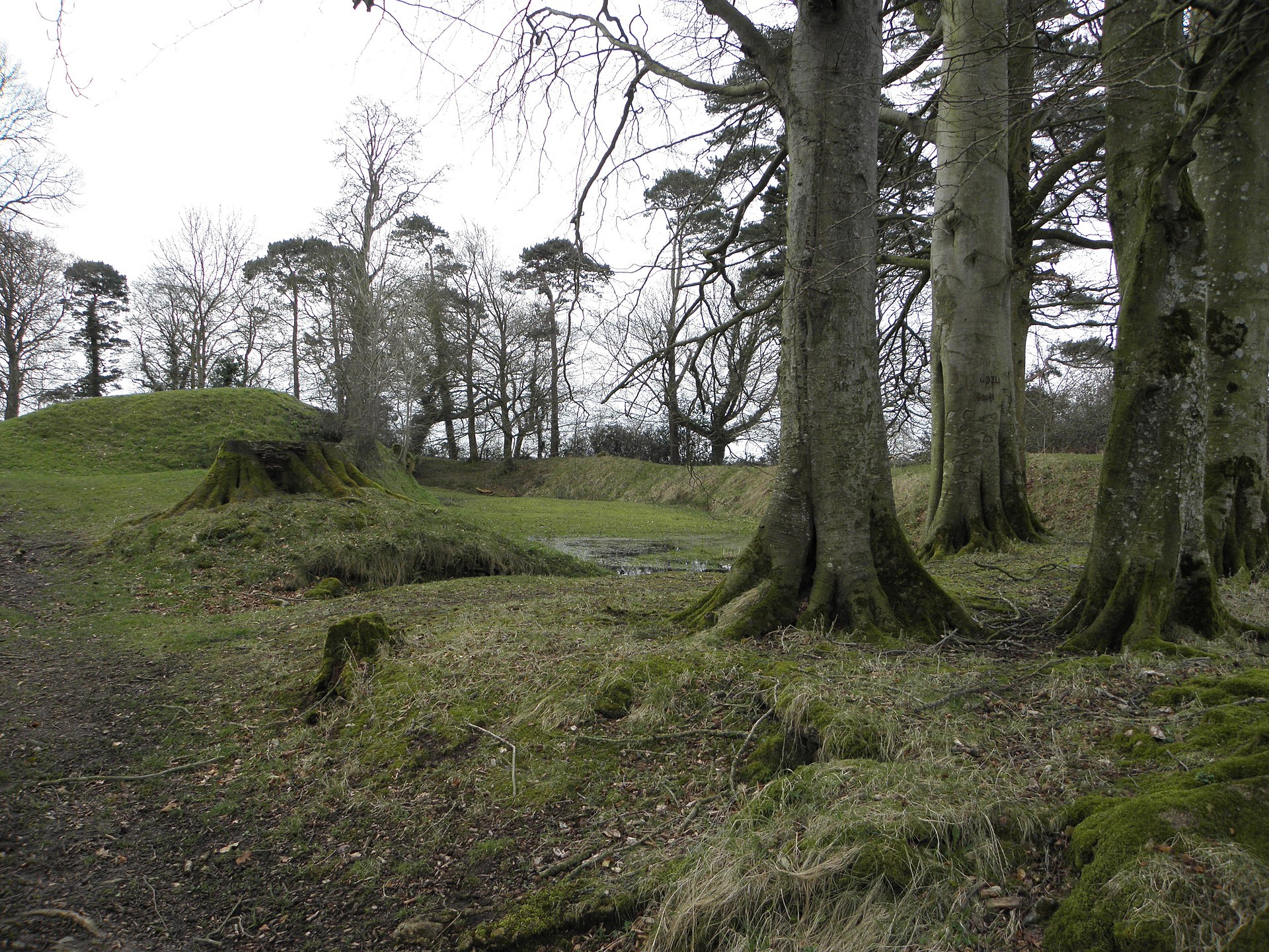 Tullaghoge Fort, Co. Tyrone